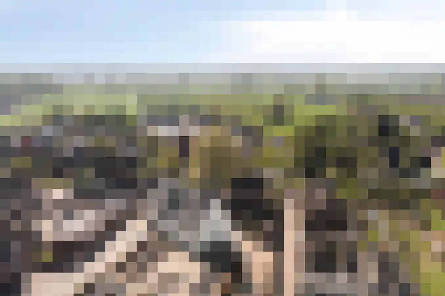 Sevenhovenstraat 31 Lopikerkapel thumbnail 42