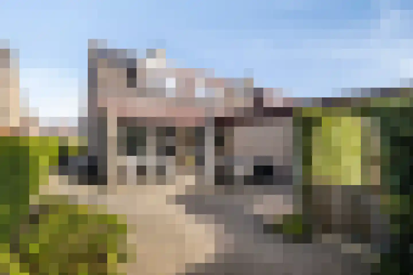 Sevenhovenstraat 31 Lopikerkapel thumbnail 5