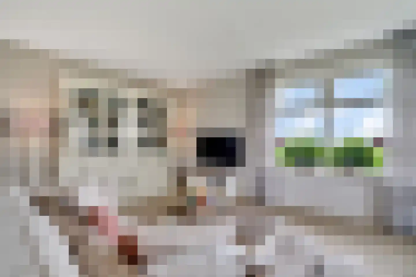 Sevenhuijsenlaan 7 Almelo thumbnail 13