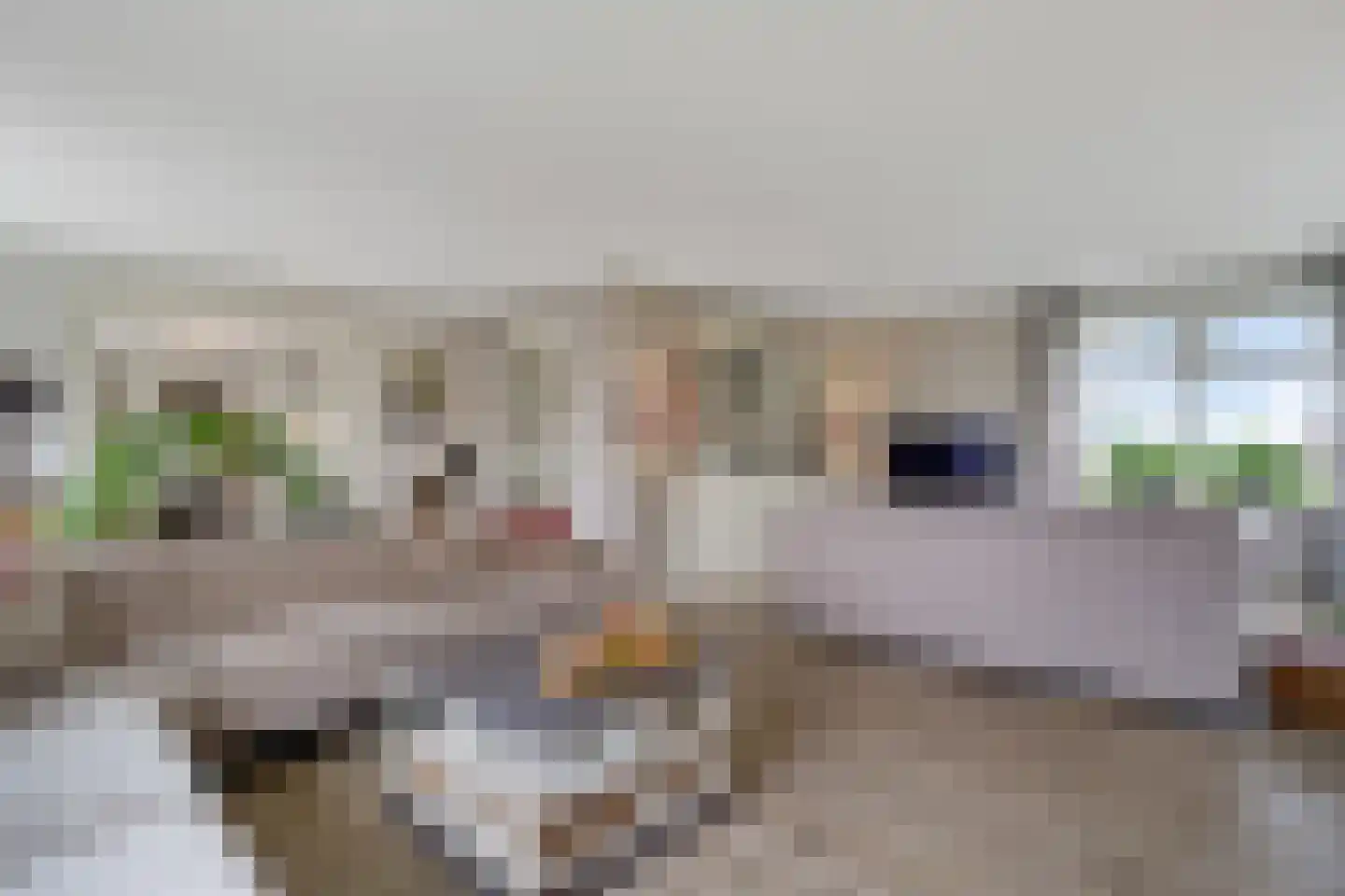 Sevenhuijsenlaan 7 Almelo thumbnail 14