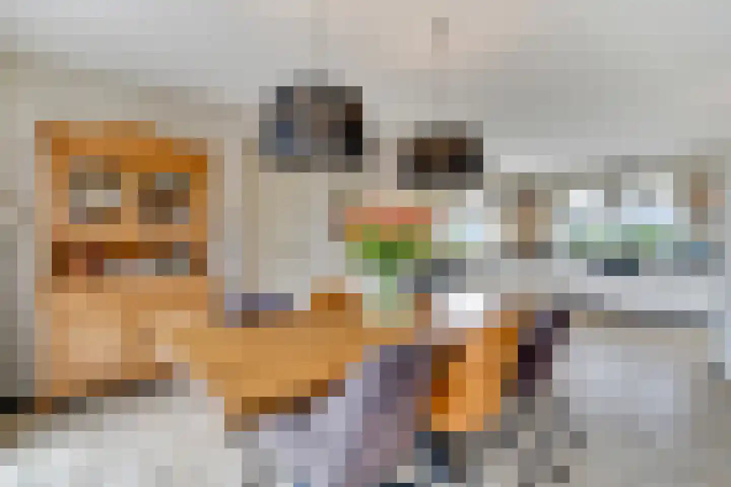 Sevenhuijsenlaan 7 Almelo thumbnail 18