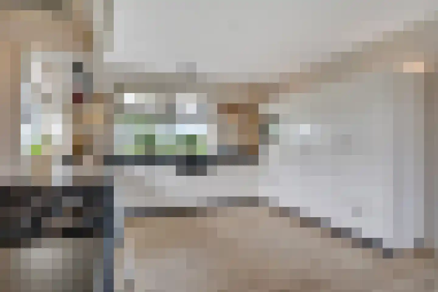 Sevenhuijsenlaan 7 Almelo thumbnail 19