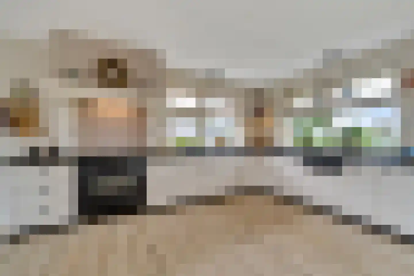 Sevenhuijsenlaan 7 Almelo thumbnail 20