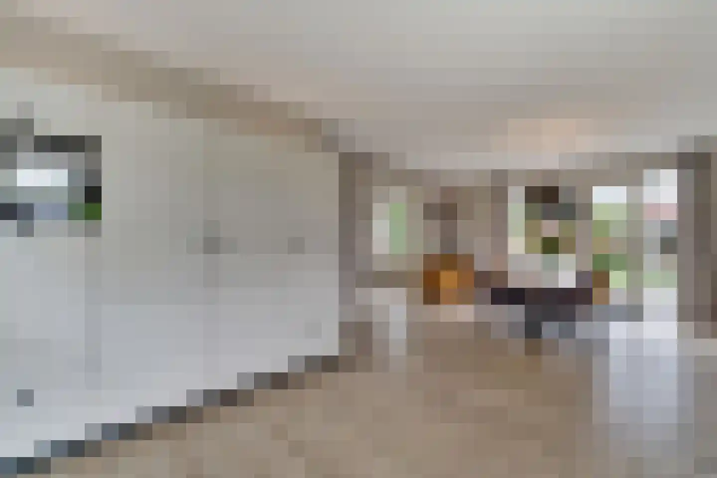 Sevenhuijsenlaan 7 Almelo thumbnail 21