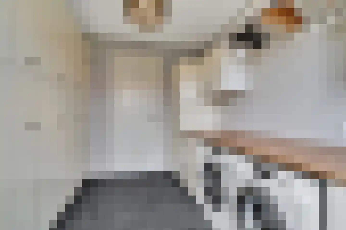 Sevenhuijsenlaan 7 Almelo thumbnail 24