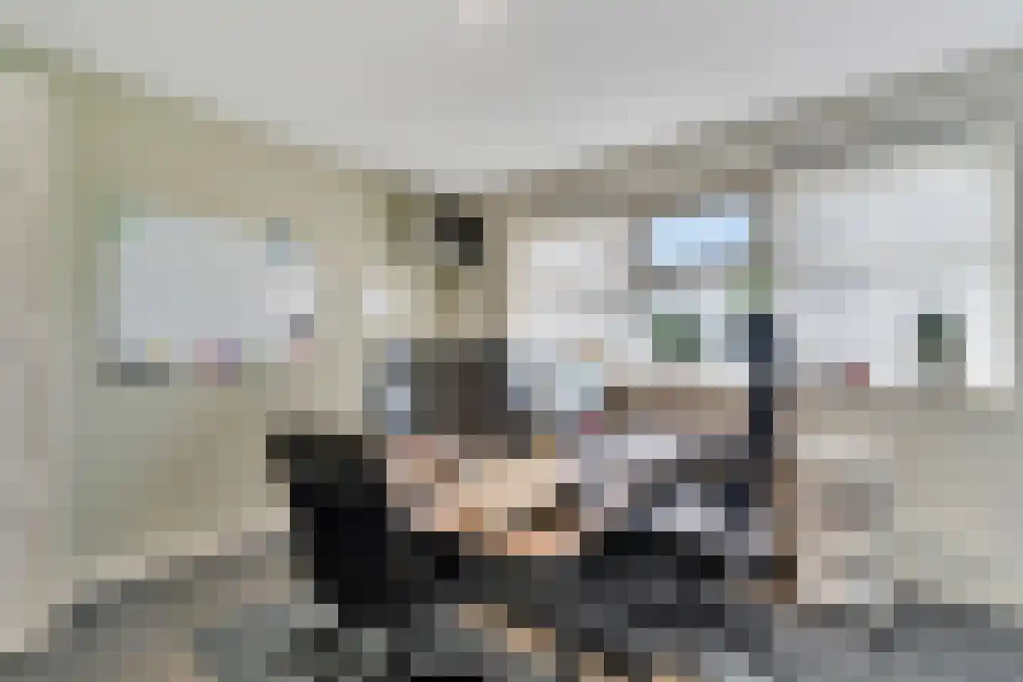 Sevenhuijsenlaan 7 Almelo thumbnail 26