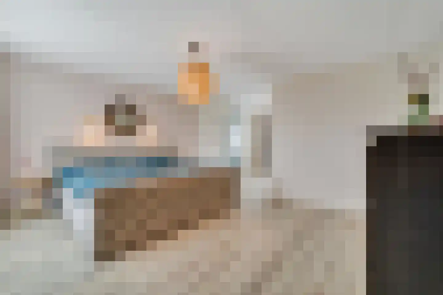 Sevenhuijsenlaan 7 Almelo thumbnail 31