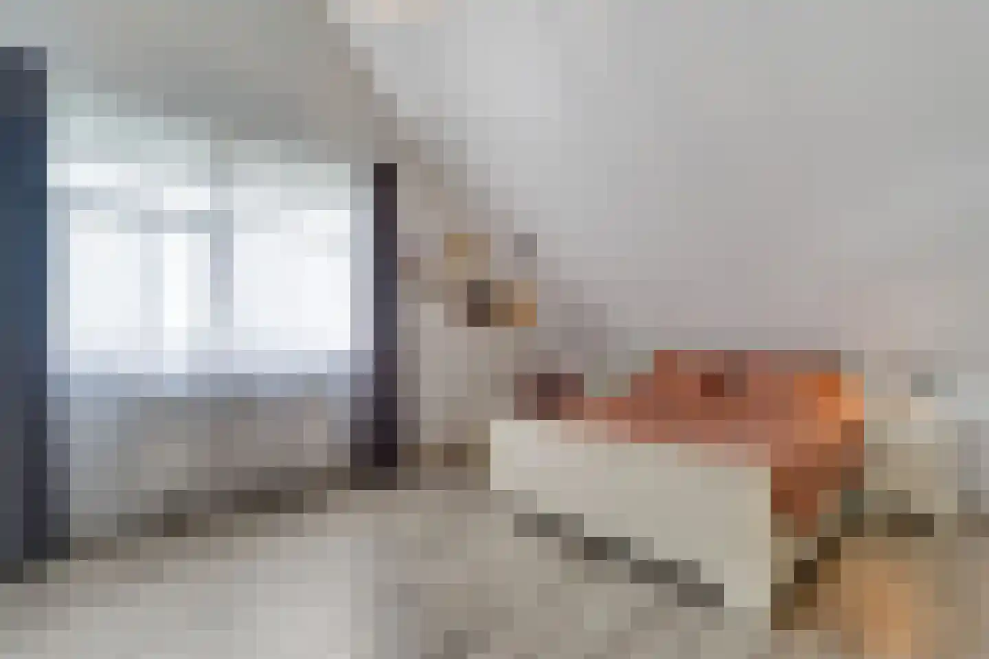Sevenhuijsenlaan 7 Almelo thumbnail 48