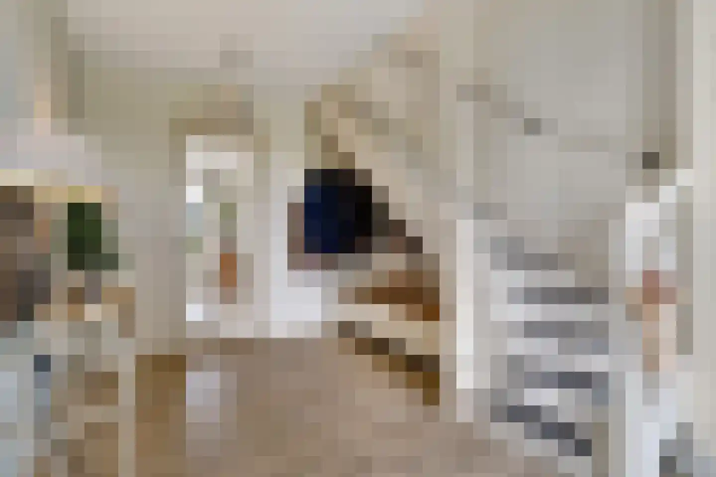 Sevenhuijsenlaan 7 Almelo thumbnail 5