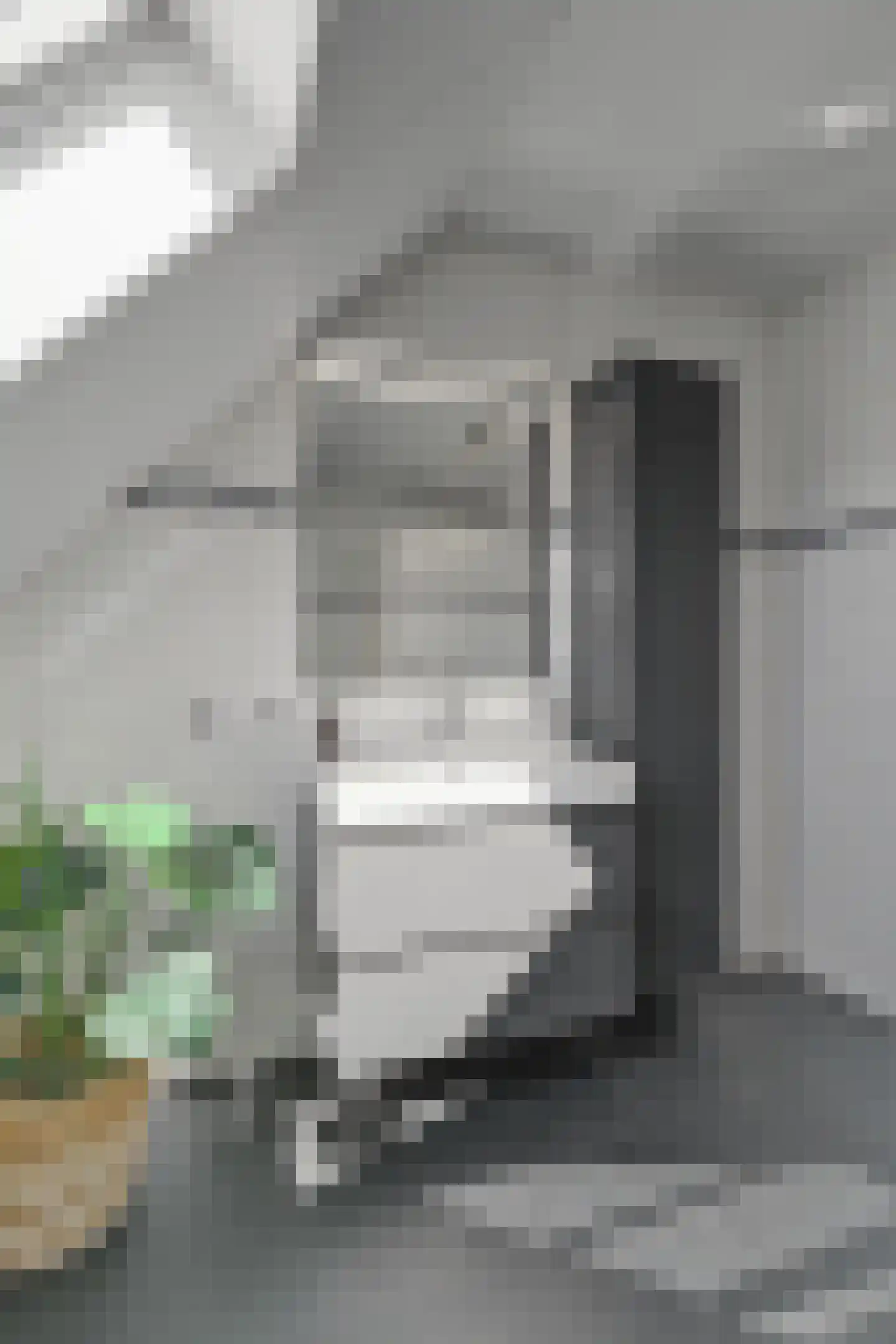 Sevenhuijsenlaan 7 Almelo thumbnail 50