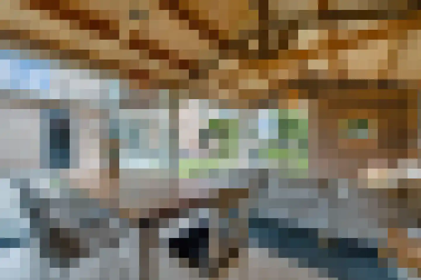 Sevenhuijsenlaan 7 Almelo thumbnail 59