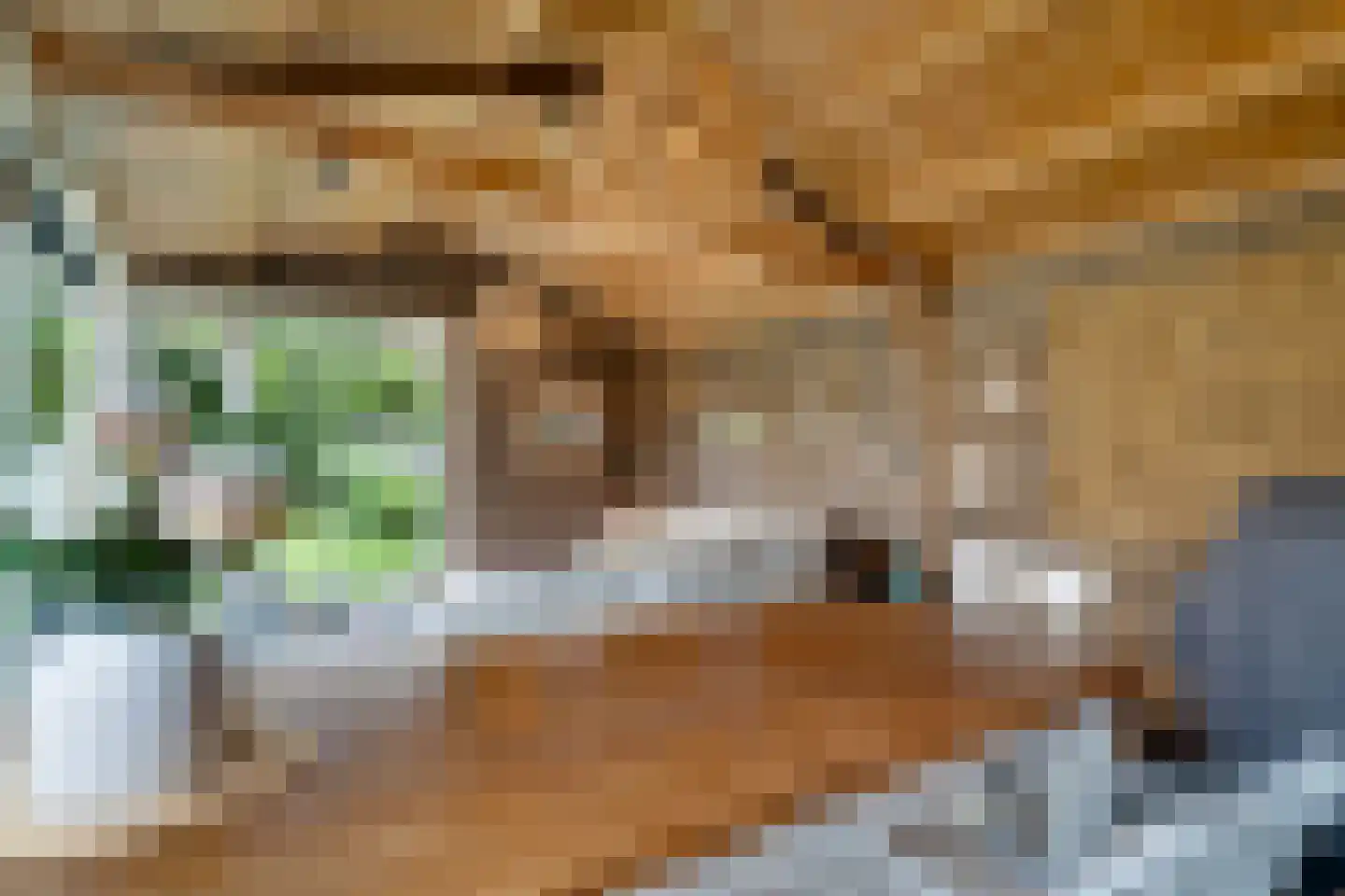 Sevenhuijsenlaan 7 Almelo thumbnail 60