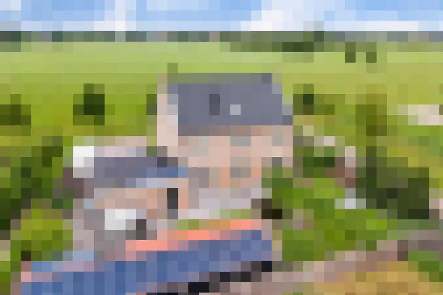 Sevenhuijsenlaan 7 Almelo thumbnail 63