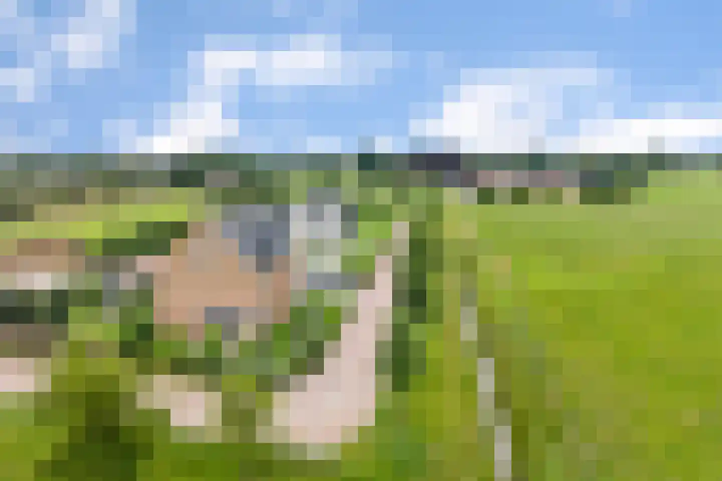 Sevenhuijsenlaan 7 Almelo thumbnail 69