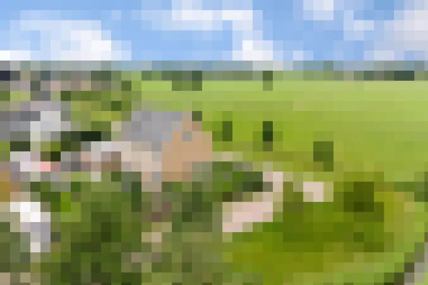 Sevenhuijsenlaan 7 Almelo thumbnail 70