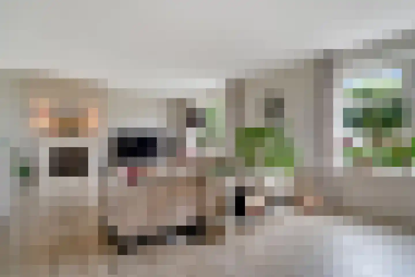 Sevenhuijsenlaan 7 Almelo thumbnail 8