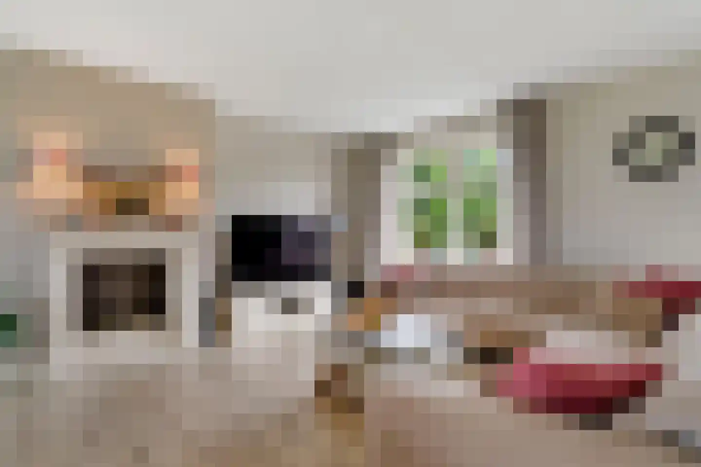 Sevenhuijsenlaan 7 Almelo thumbnail 9