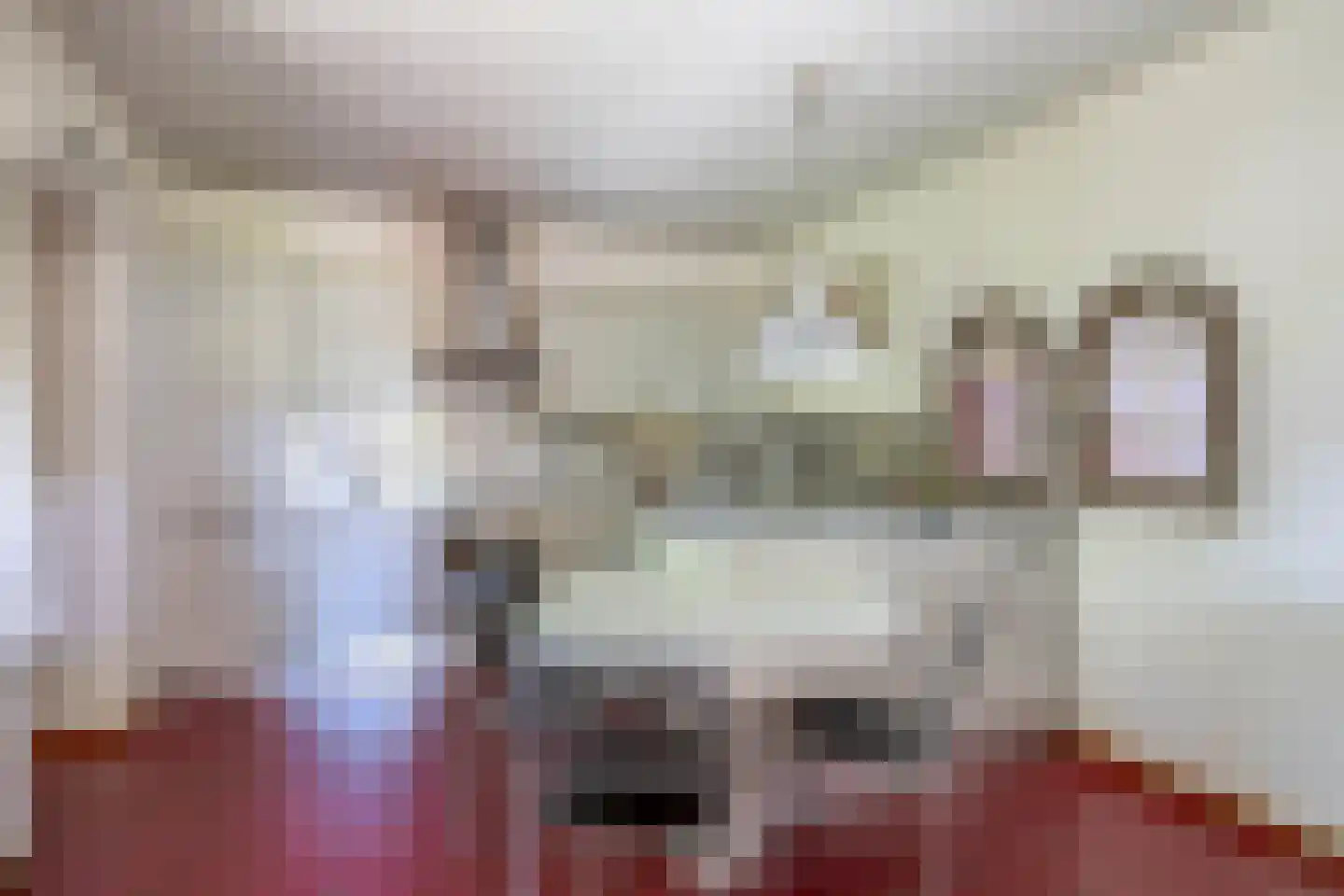 Sevenumse Dijk 12 Maasbree thumbnail 10