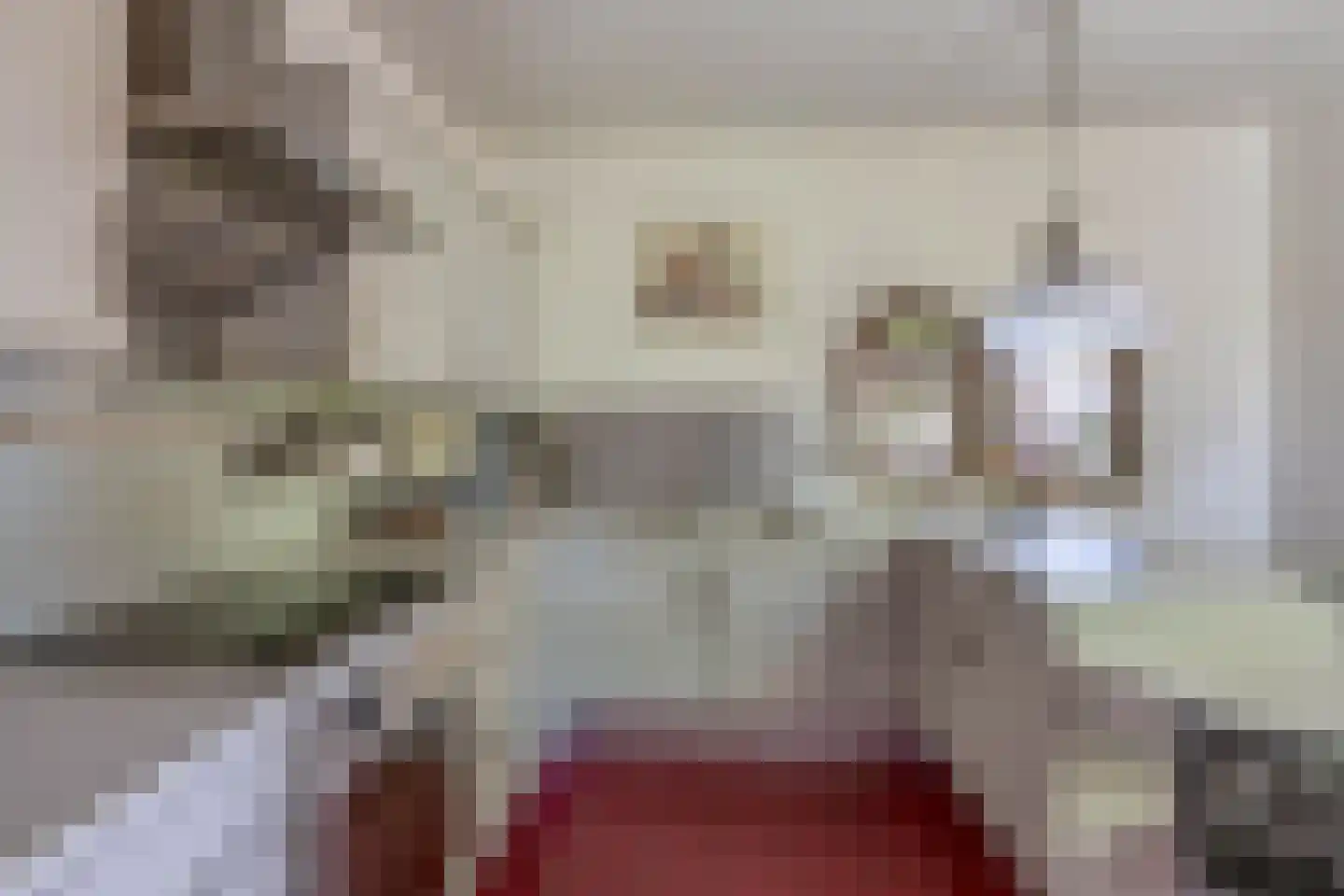 Sevenumse Dijk 12 Maasbree thumbnail 11