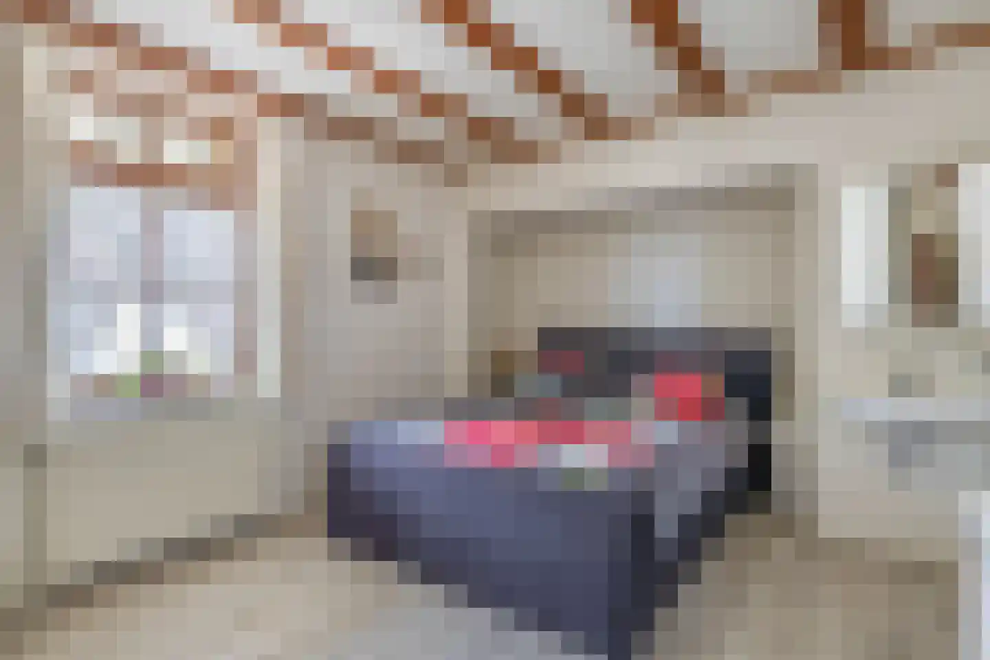 Sevenumse Dijk 12 Maasbree thumbnail 15