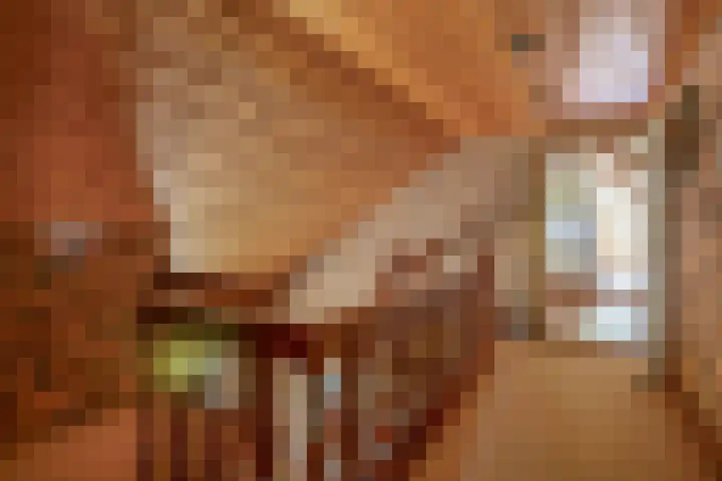 Sevenumse Dijk 12 Maasbree thumbnail 17