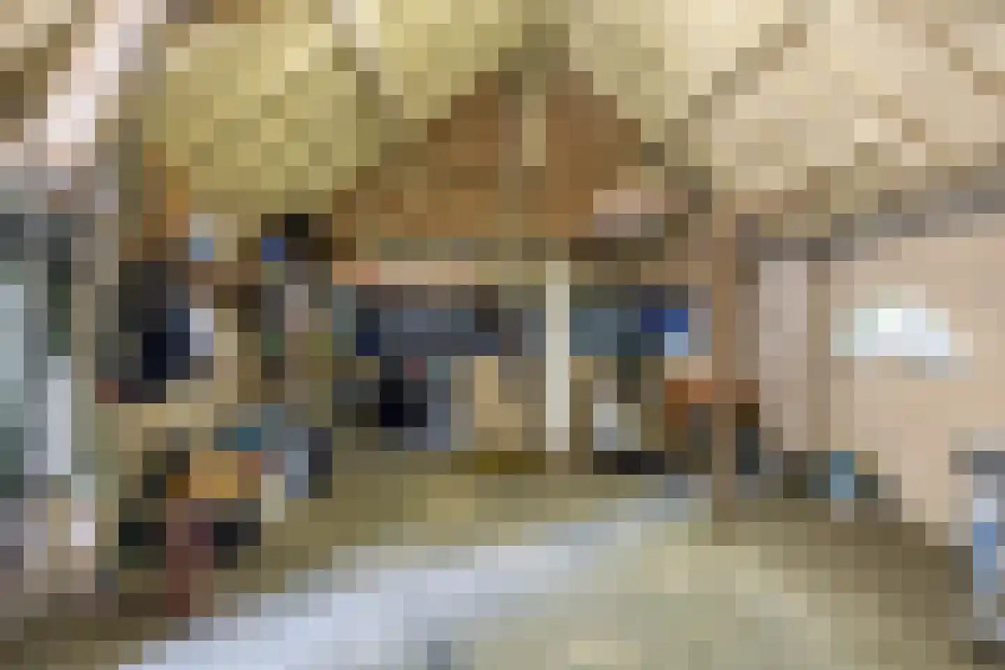 Sevenumse Dijk 12 Maasbree thumbnail 26