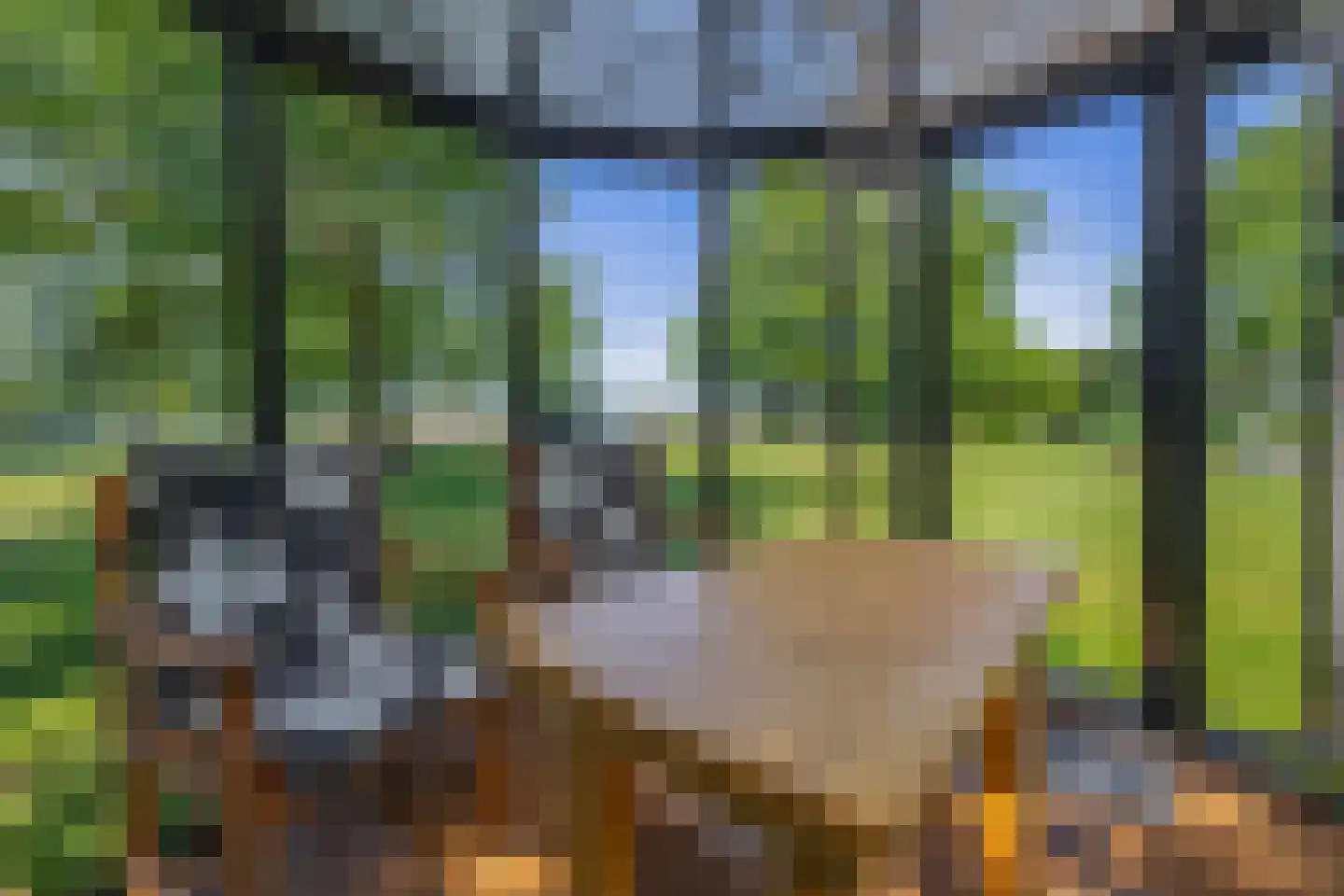 Sevenumse Dijk 12 Maasbree thumbnail 31