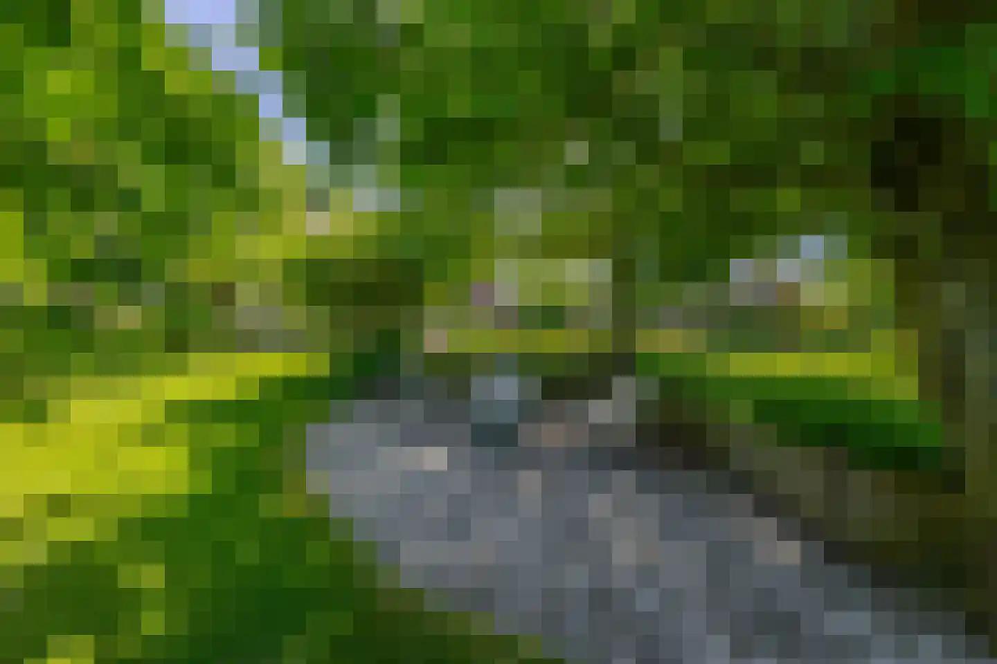 Sevenumse Dijk 12 Maasbree thumbnail 32