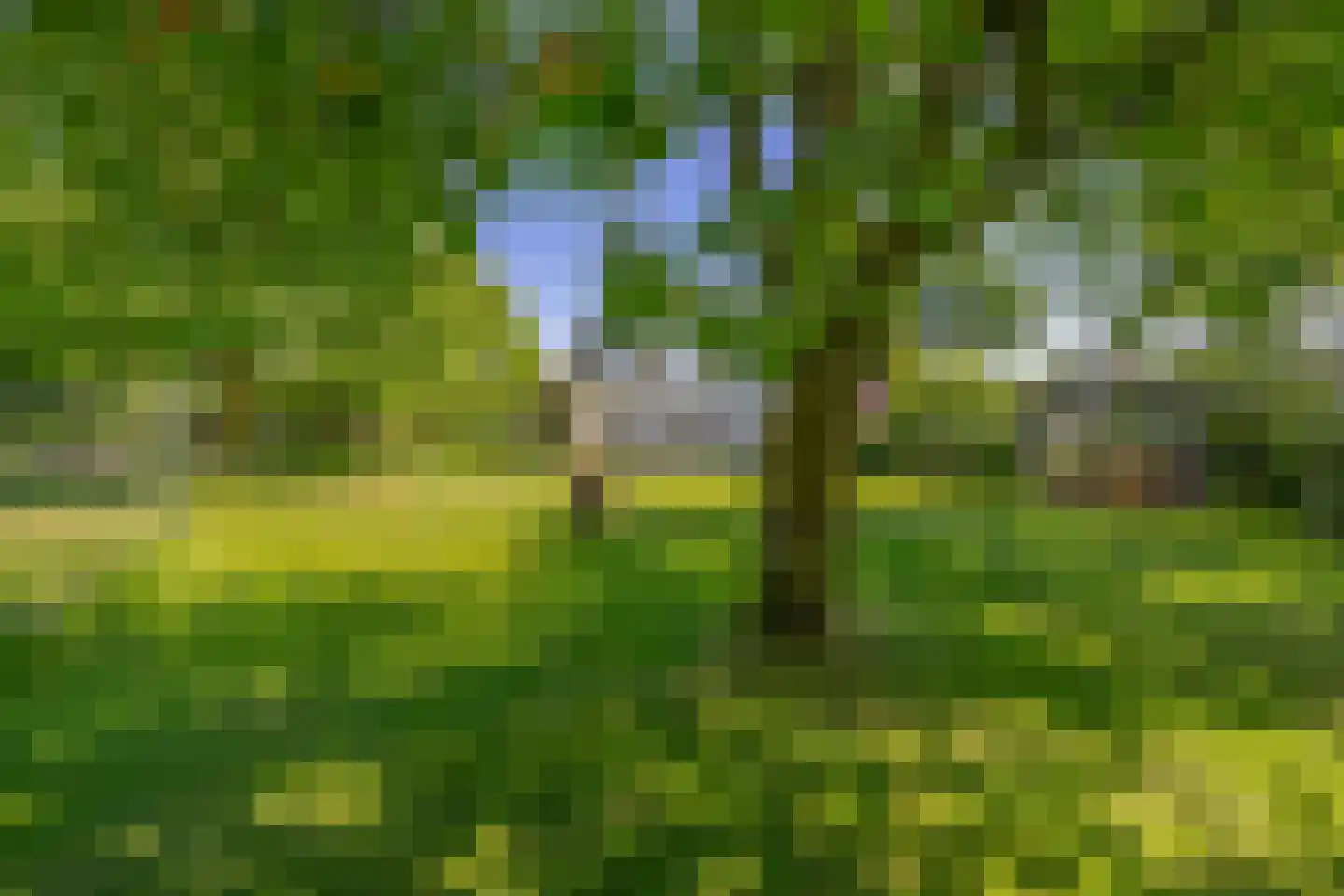 Sevenumse Dijk 12 Maasbree thumbnail 33