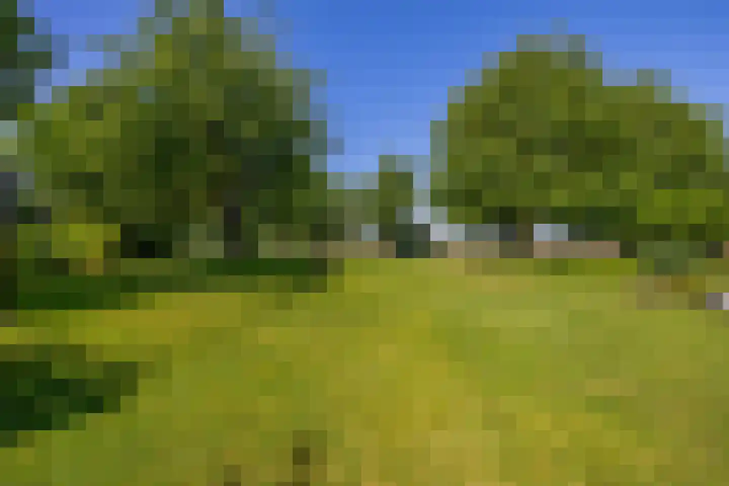 Sevenumse Dijk 12 Maasbree thumbnail 34