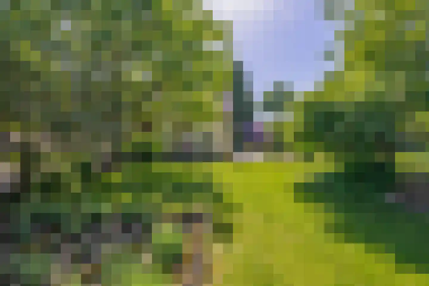 Sevenumse Dijk 12 Maasbree thumbnail 35