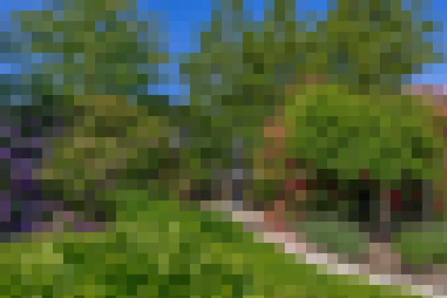 Sevenumse Dijk 12 Maasbree thumbnail 37