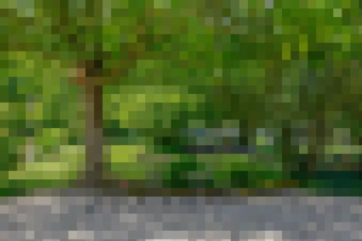 Sevenumse Dijk 12 Maasbree thumbnail 38