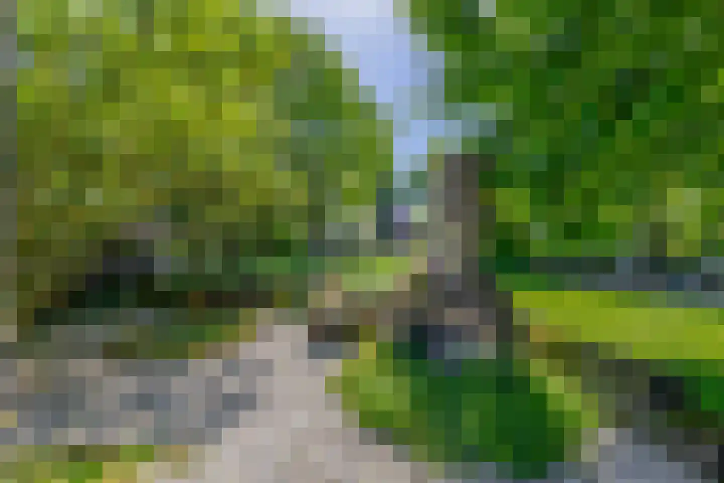 Sevenumse Dijk 12 Maasbree thumbnail 39