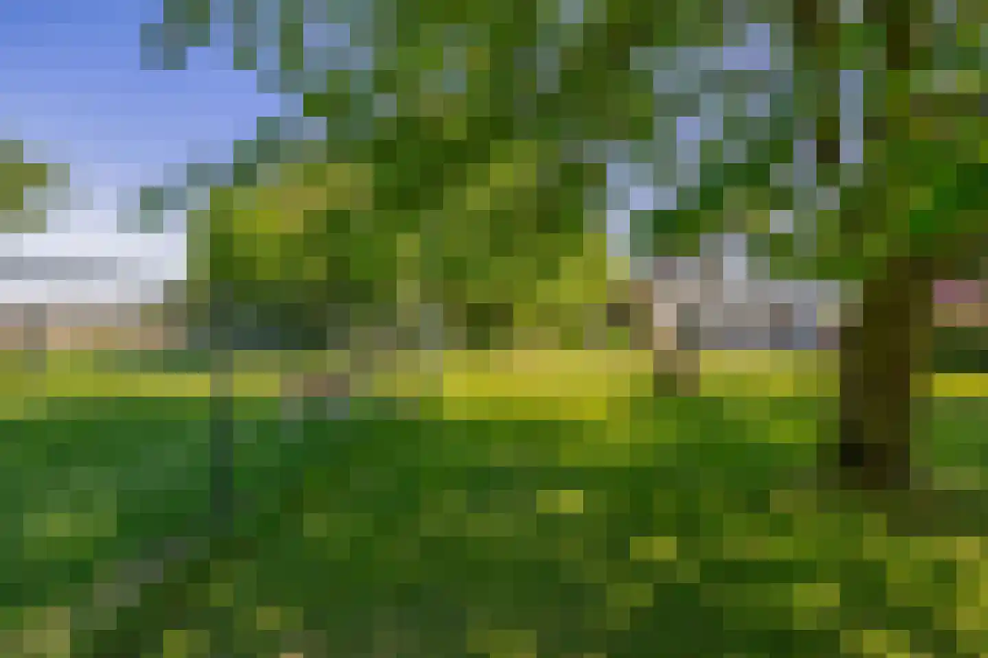 Sevenumse Dijk 12 Maasbree thumbnail 4