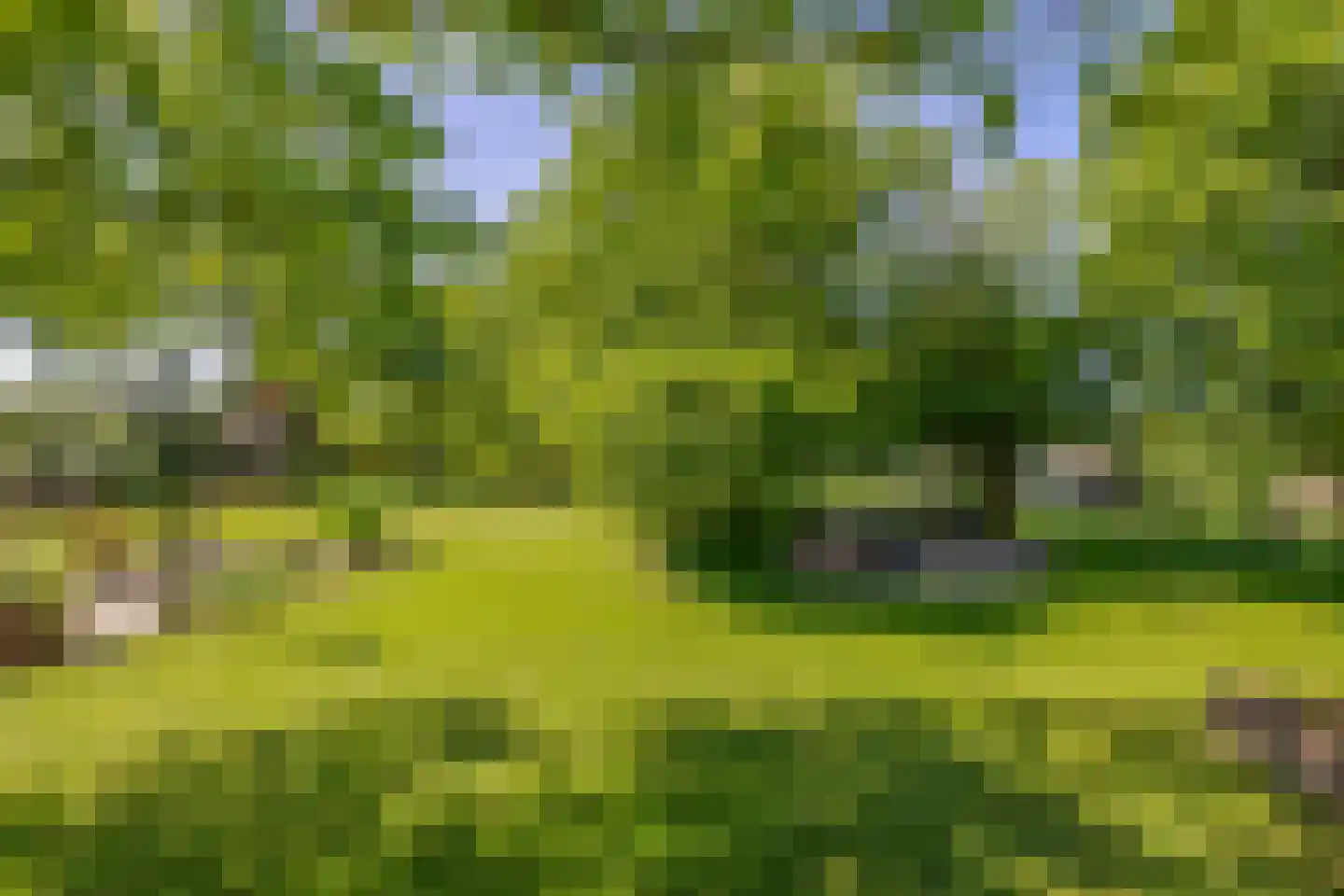 Sevenumse Dijk 12 Maasbree thumbnail 40