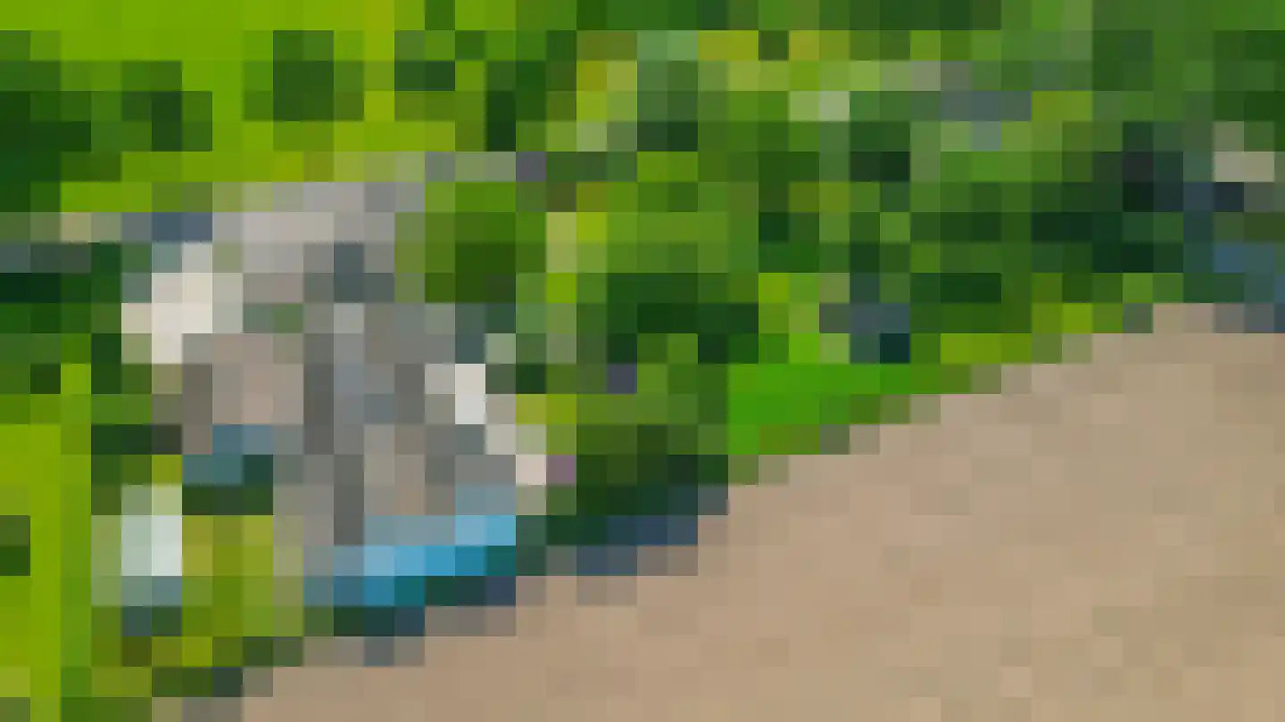 Sevenumse Dijk 12 Maasbree thumbnail 41