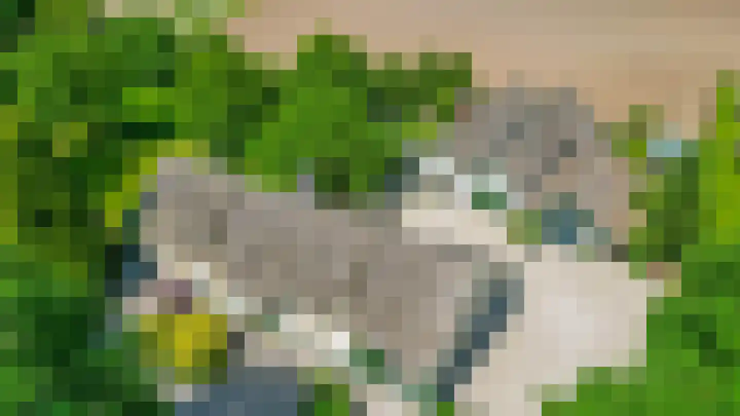 Sevenumse Dijk 12 Maasbree thumbnail 5