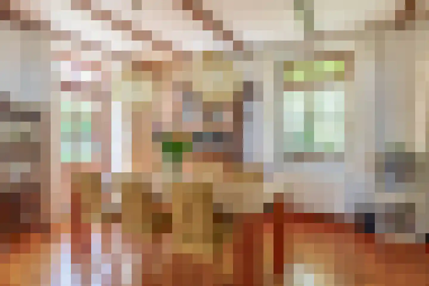 Sevenumse Dijk 12 Maasbree thumbnail 9