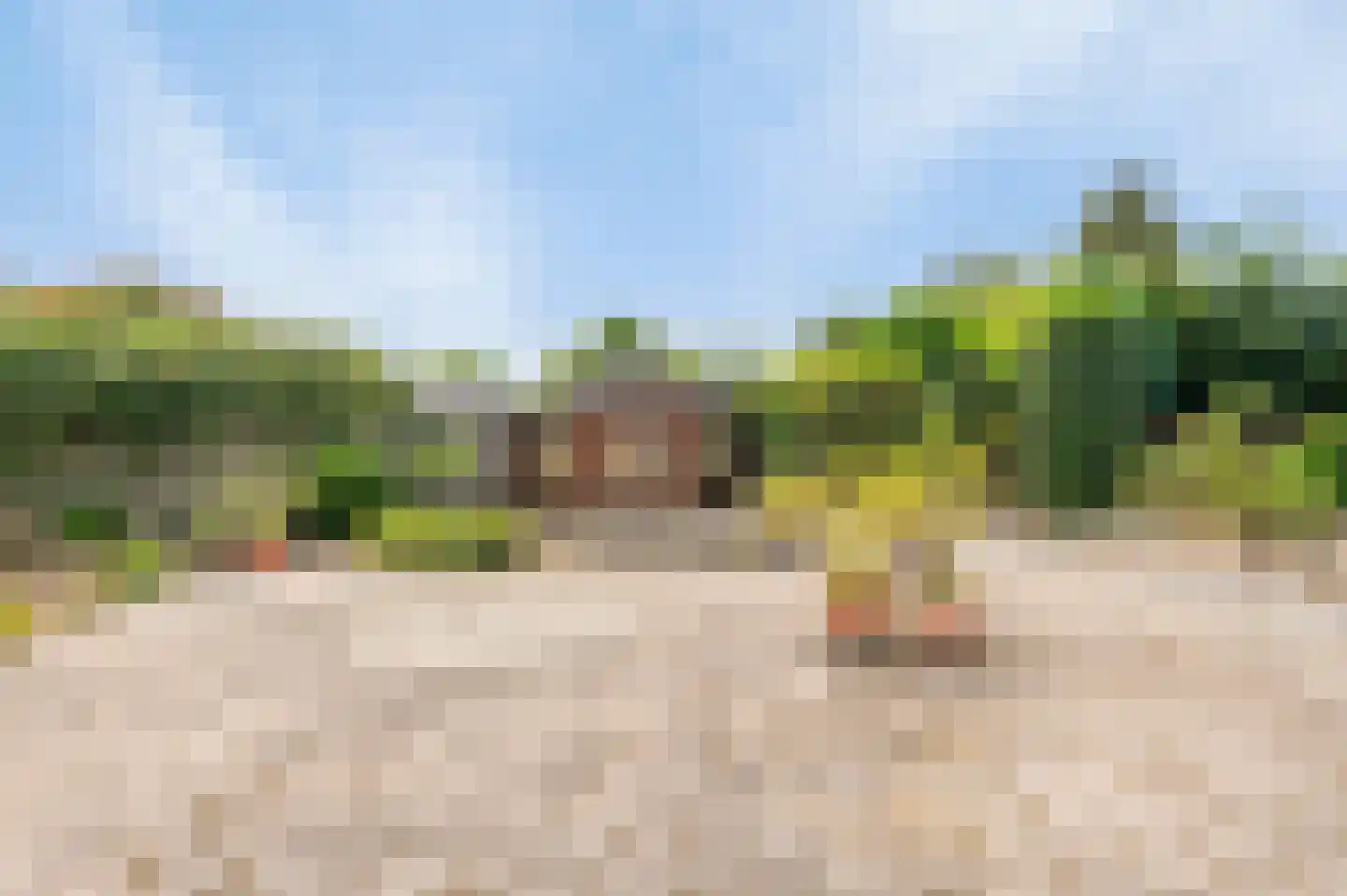 Sevenumseweg 3 Maasbree thumbnail 20