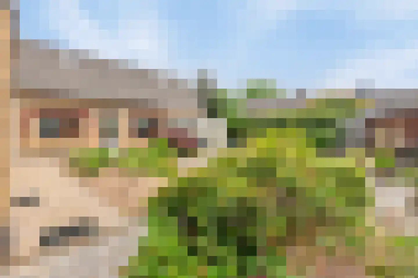 Sevenumseweg 3 Maasbree thumbnail 21