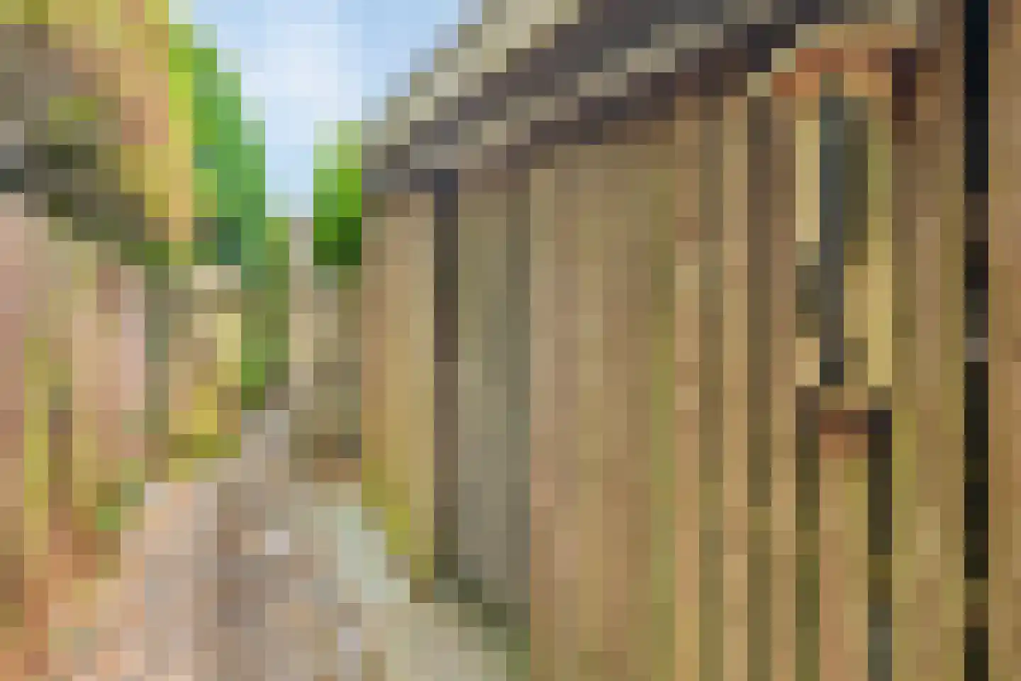 Sevenumseweg 3 Maasbree thumbnail 23