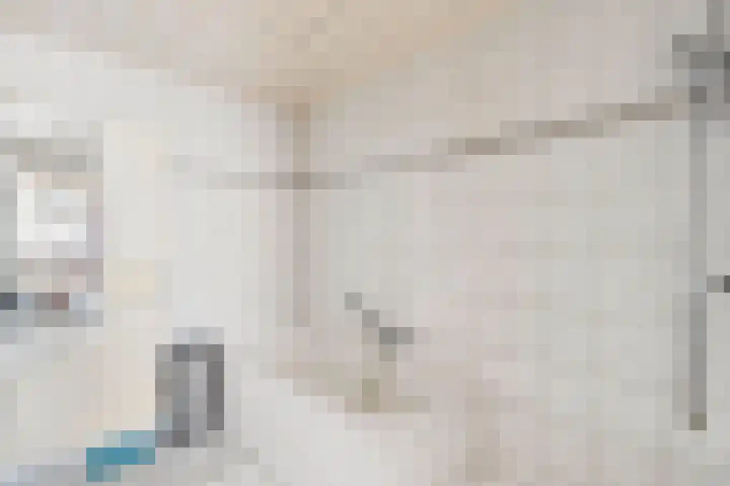 Sevenumseweg 3 Maasbree thumbnail 31