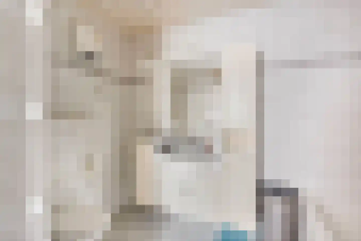 Sevenumseweg 3 Maasbree thumbnail 32