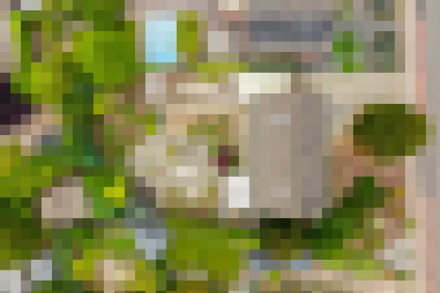 Sevenumseweg 3 Maasbree thumbnail 44