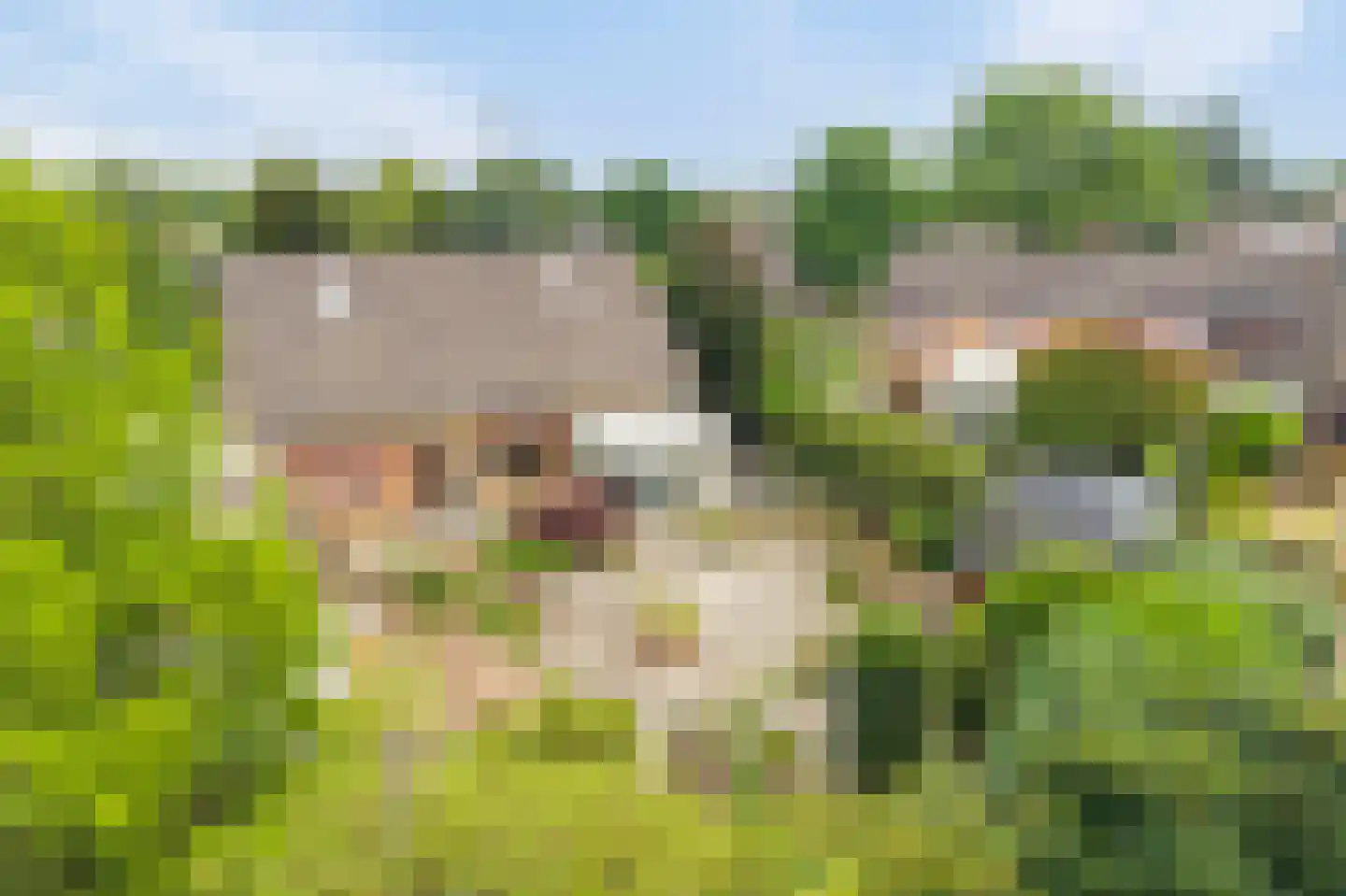 Sevenumseweg 3 Maasbree thumbnail 45