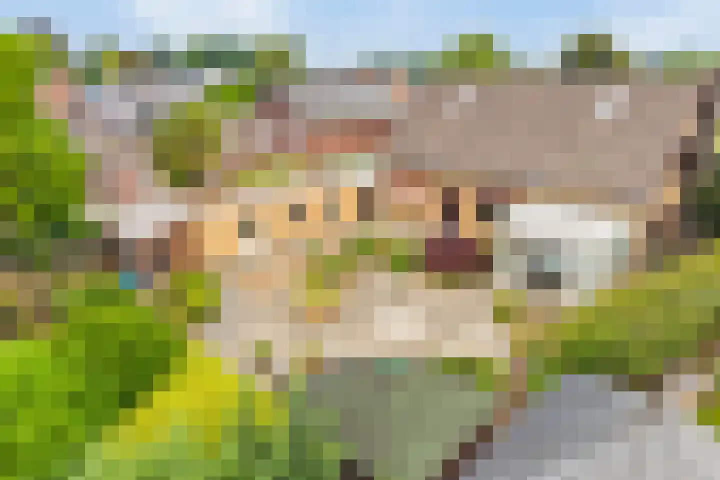 Sevenumseweg 3 Maasbree thumbnail 46