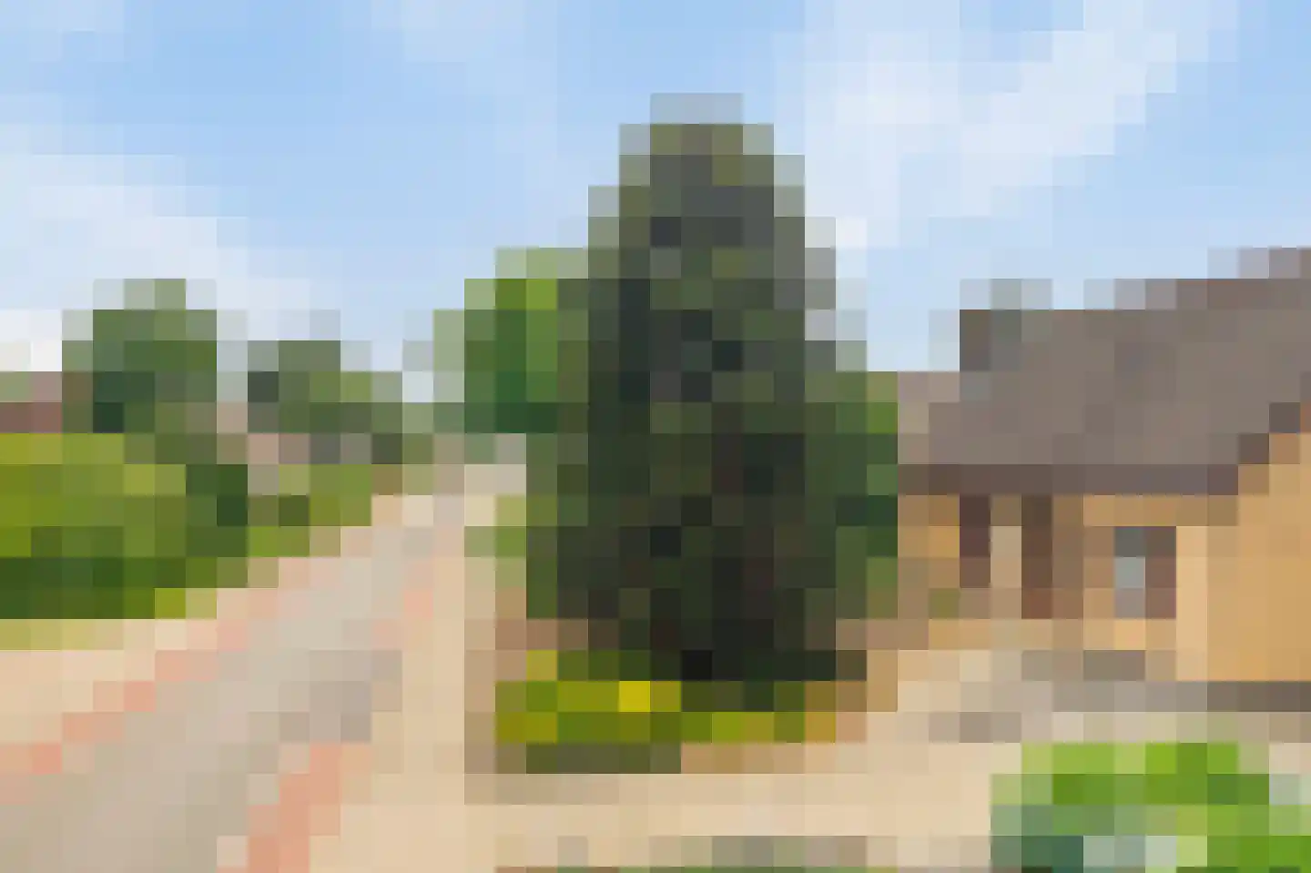 Sevenumseweg 3 Maasbree thumbnail 6