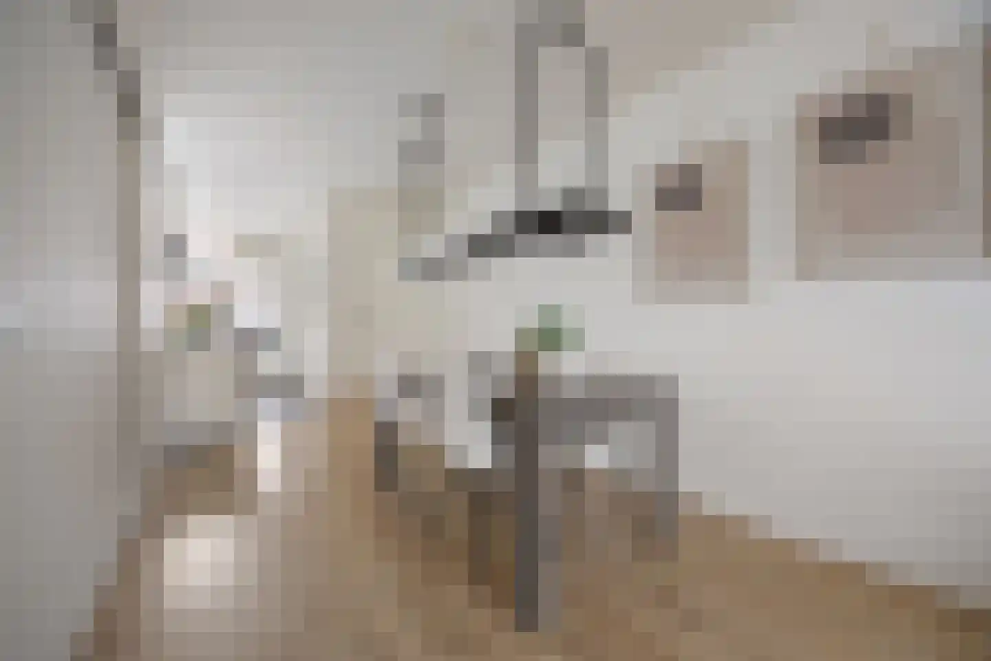 Sevenumstraat 4 Arnhem thumbnail 13