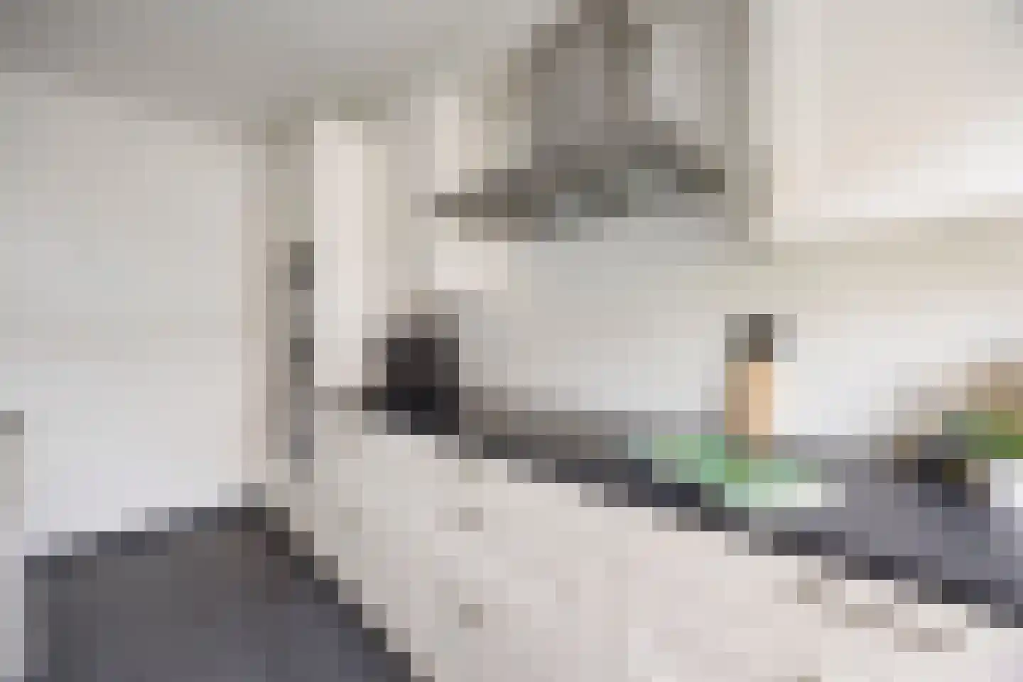 Sevenumstraat 4 Arnhem thumbnail 7